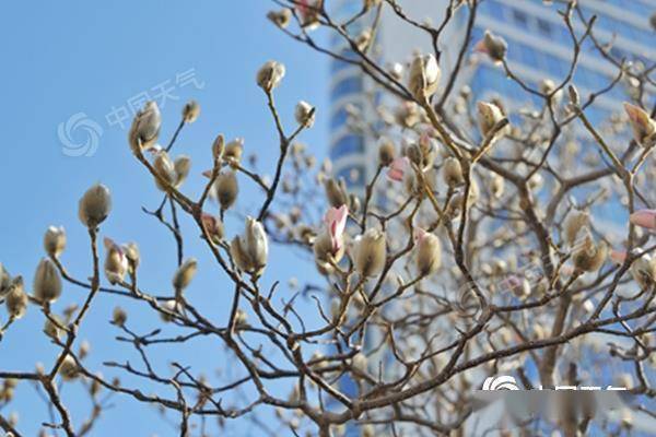 华为手机锁屏后耗电吗:我国多地将超前体验常年4月的暖意，华北等地“跑步”入春