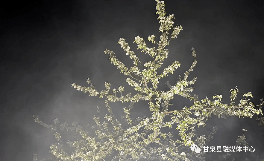 村花视频苹果版下载:陕西甘泉：雨雪降温天气来袭 干部群众积极应对护花保收成-第1张图片-太平洋在线下载