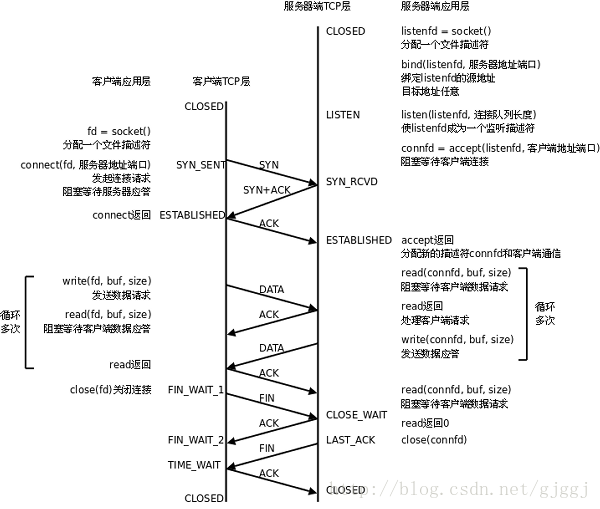 csocket判断客户端cytoscape官网下载-第1张图片-太平洋在线下载