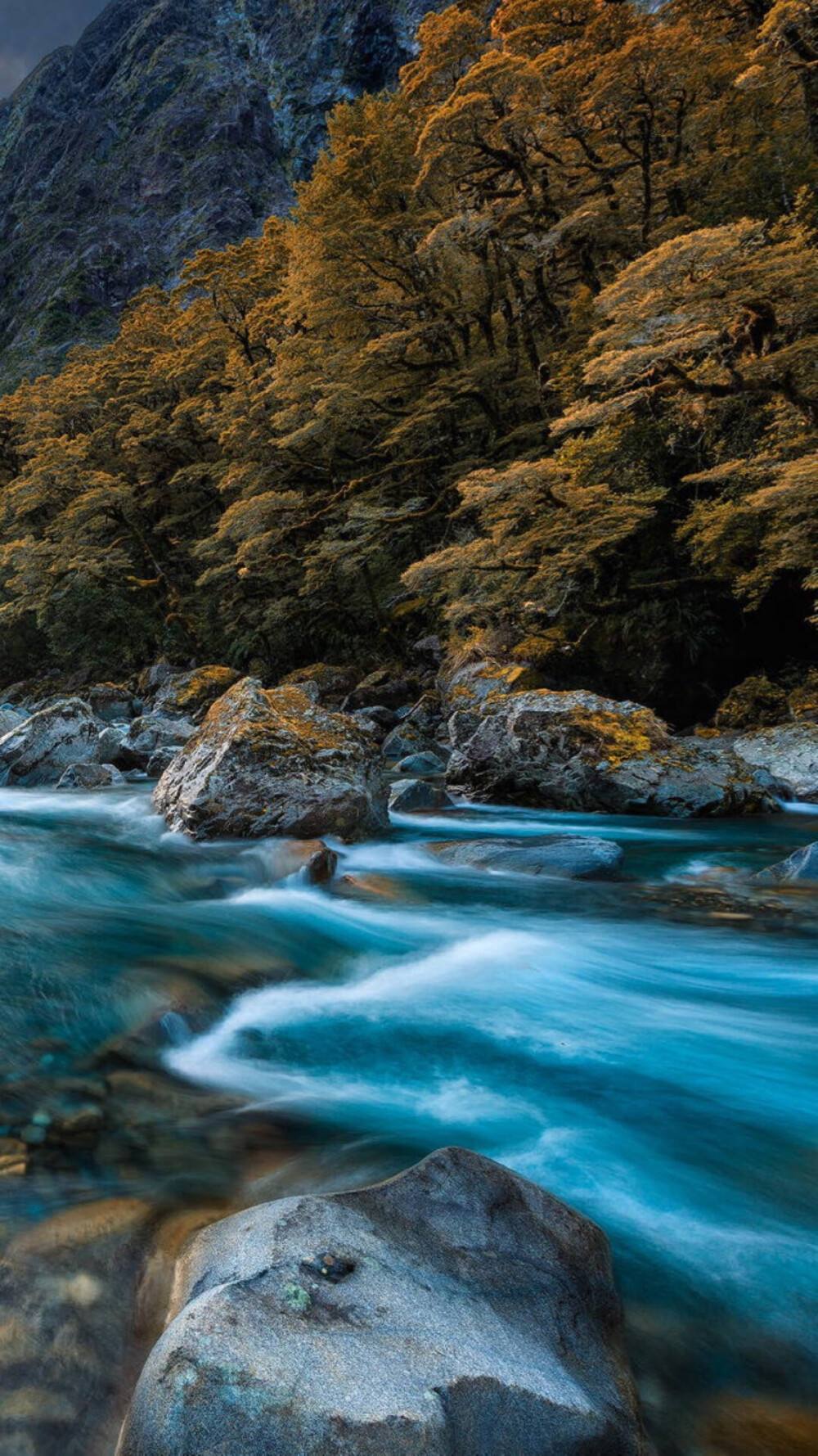 手机拍照风景苹果版下载iphone哪个版本拍照有声音-第1张图片-太平洋在线下载