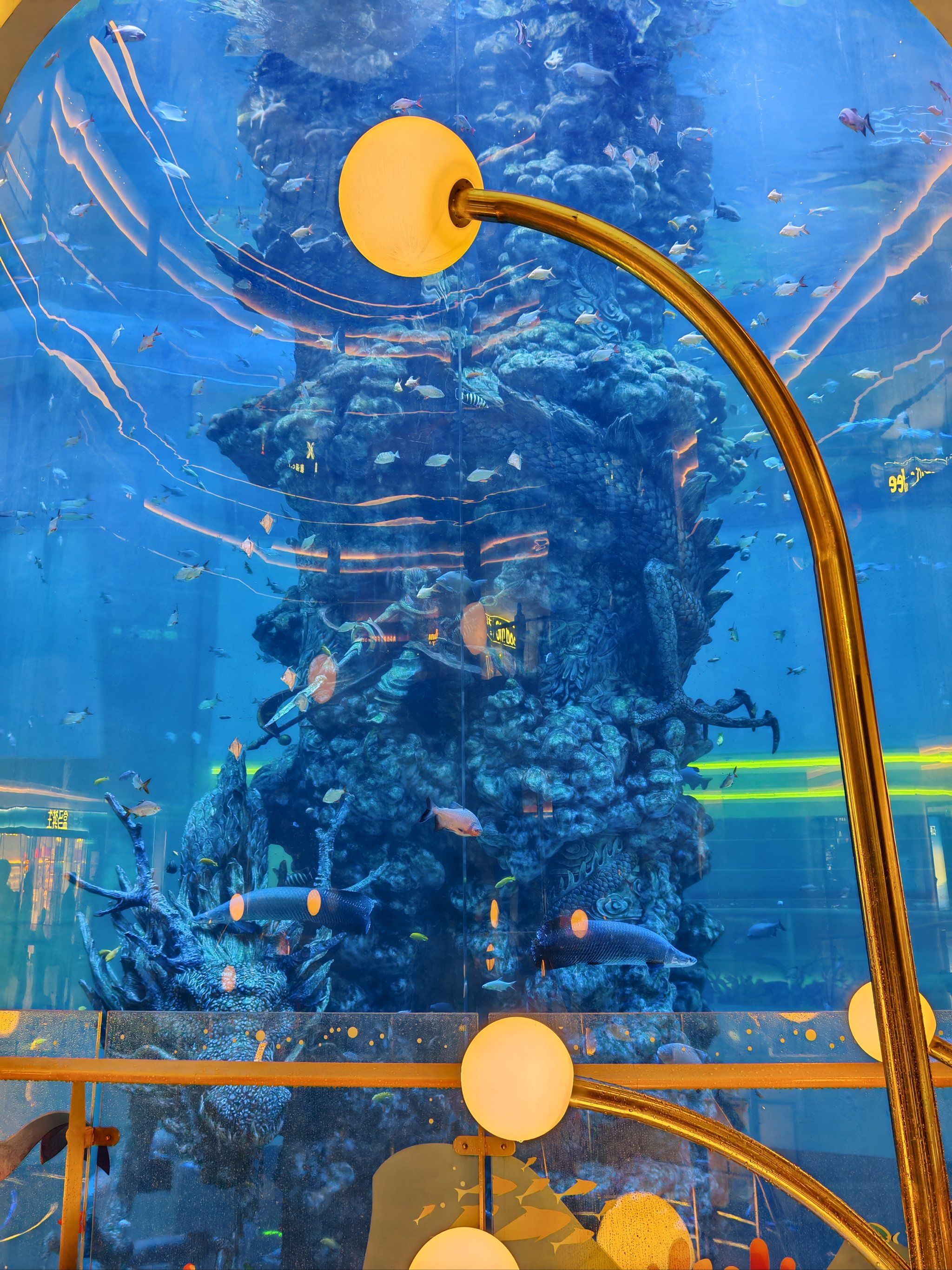 怪怪水族馆安卓手机版(怪怪水族馆手机版无限金币)-第5张图片-QuickQ官网 怪怪水族馆安卓手机版(怪怪水族馆手机版无限金币)-第5张图片-QuickQ官网