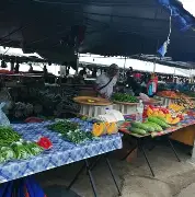 菲律宾亚星手机版登录(菲律宾马尼拉地图中文版)-第2张图片-QuickQ官网