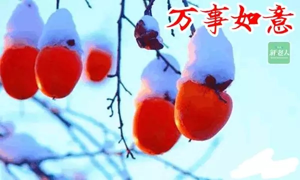 祝你好死快手机版(祝你好死快手机版在线观看)-第5张图片-QuickQ官网 祝你好死快手机版(祝你好死快手机版在线观看)-第5张图片-QuickQ官网