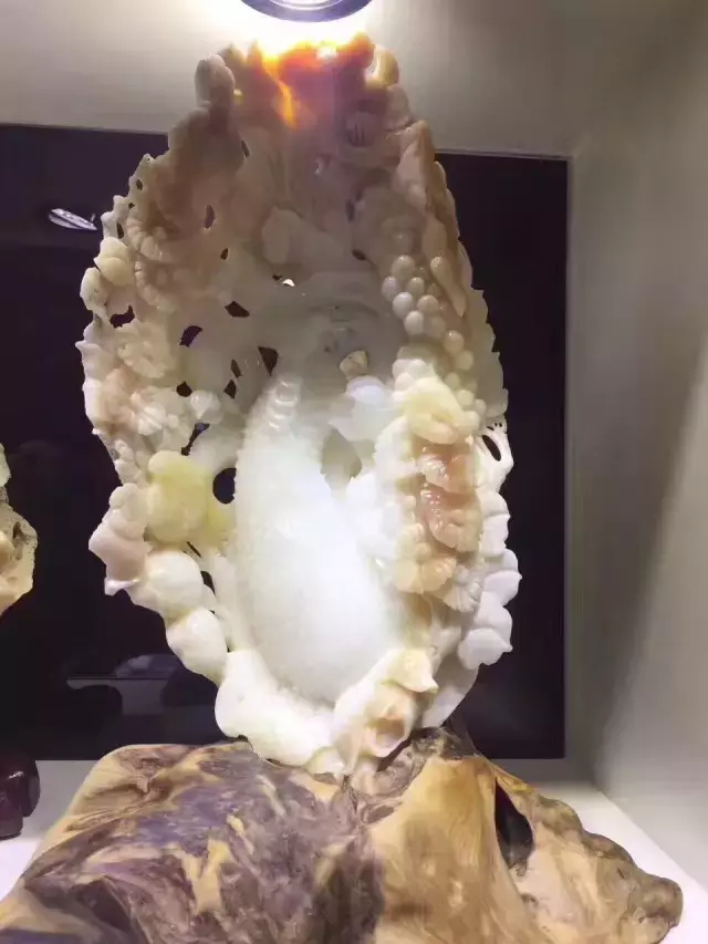 纯白信徒下载手机版(纯白信徒下载手机版安装)